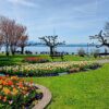 Fastenwandern mit Rohkost am Bodensee im Fischerhaus