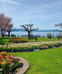 Fastenwandern mit Rohkost am Bodensee im Fischerhaus