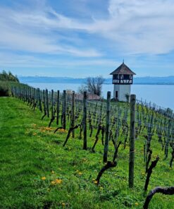 Fastenwandern nach Buchinger am Bodensee im Pilgerhof