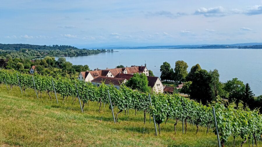 Ausblick vom Kloster Birnau auf Unteruhldingen am Bodensee über die Weinberge