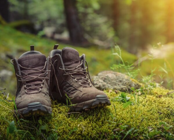 Wanderschuhe Pfälzer Wald Fastenwandern