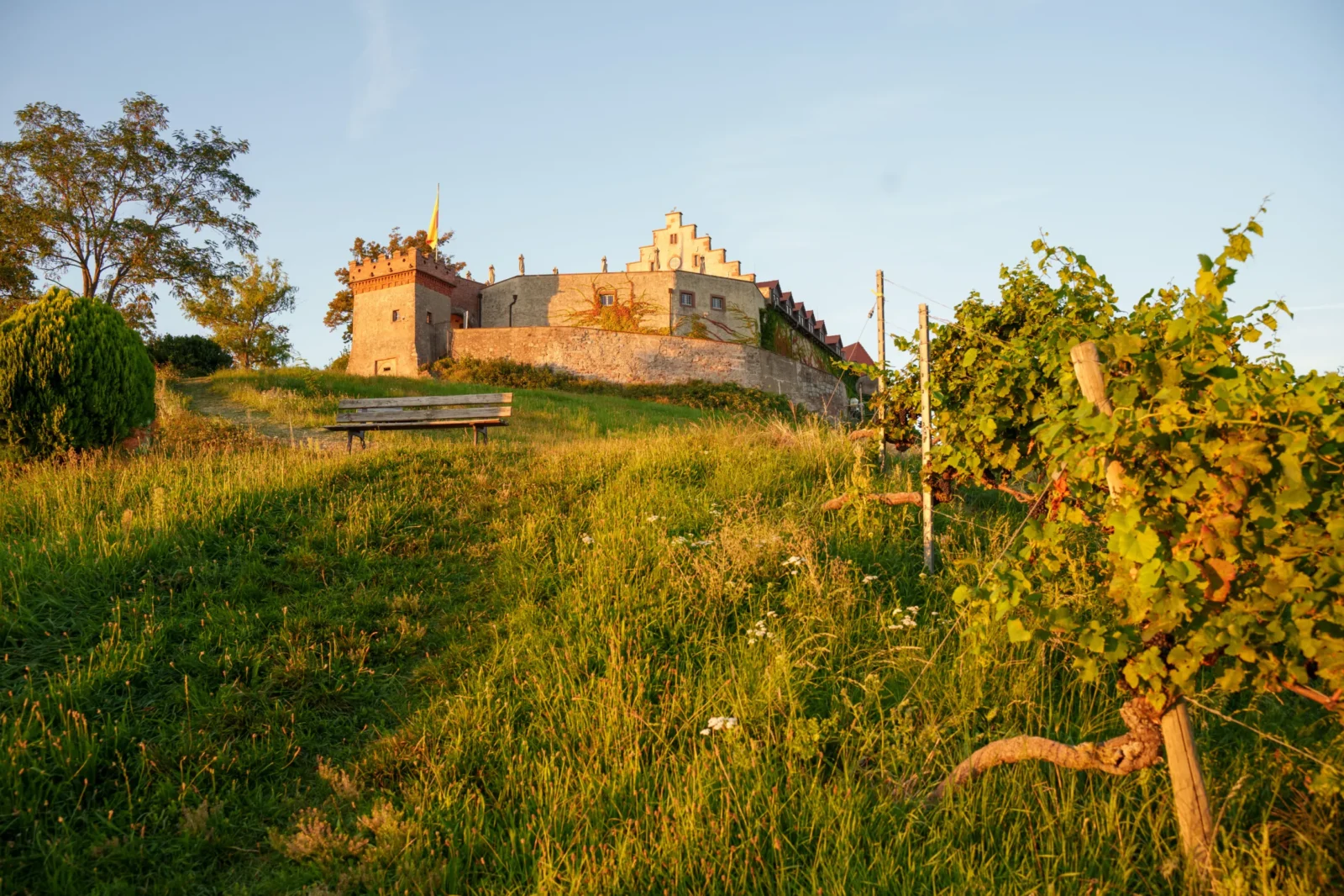 Schloss Staufenberg in den Weinbergen mit einer Bank beim Fastenwandern im Schwarzwald