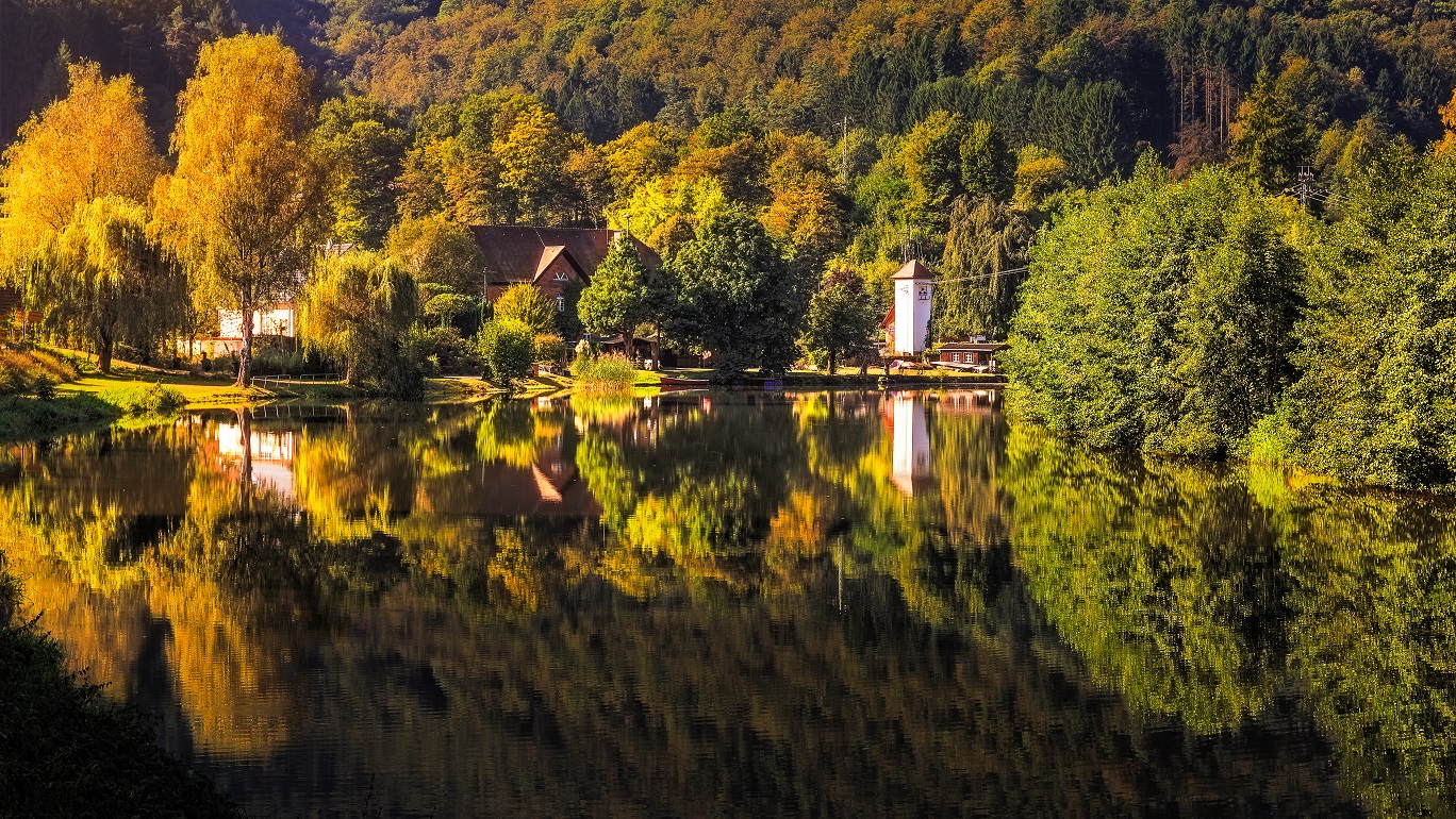 See mit Reflektion des herbstlich gefärbten Pfälzerwaldes beim Fastenwandern