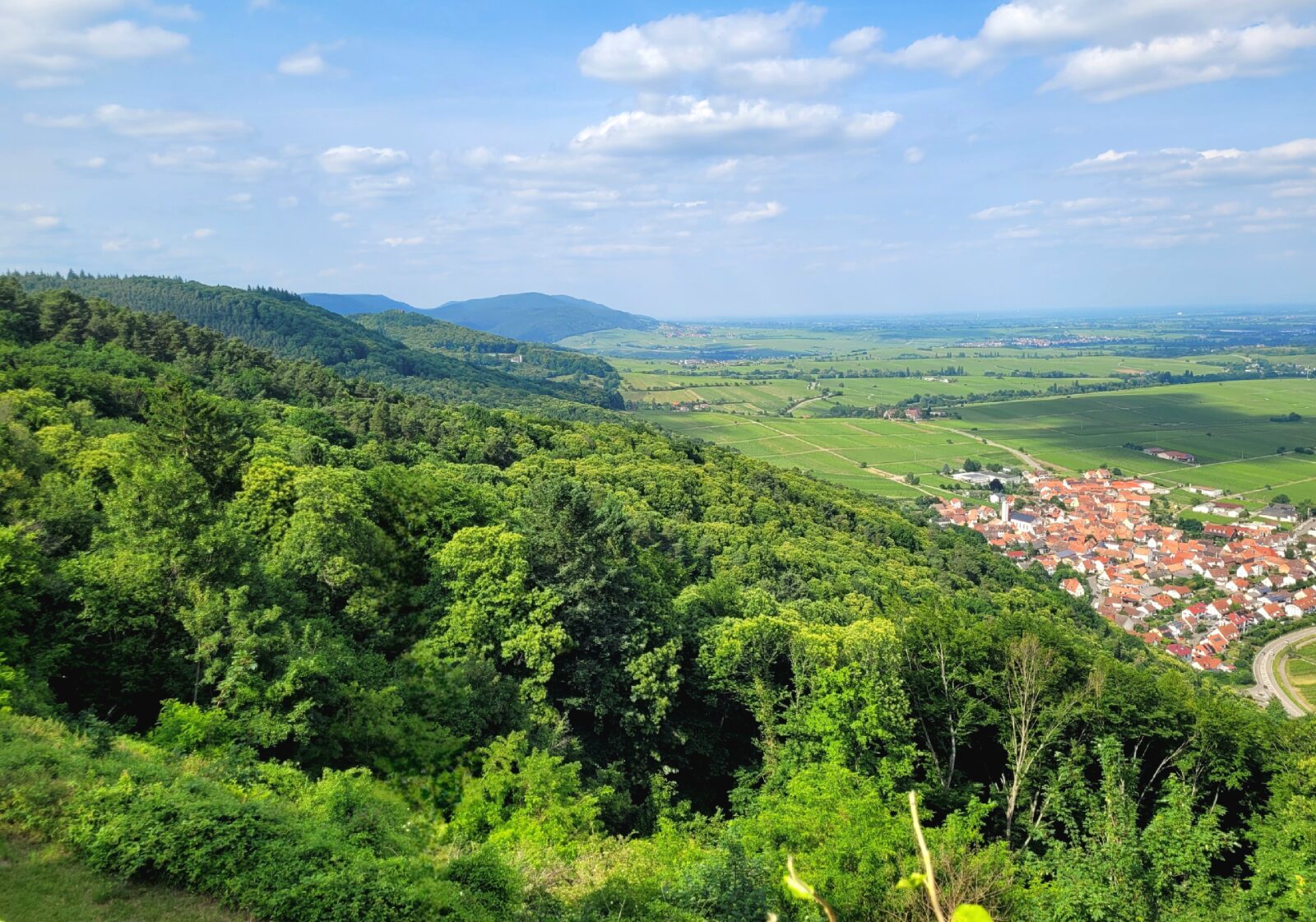 Blick über den Haardtrand mit Pfälzerwald und Weinbergen beim Fastenwandern in der Südpfalz