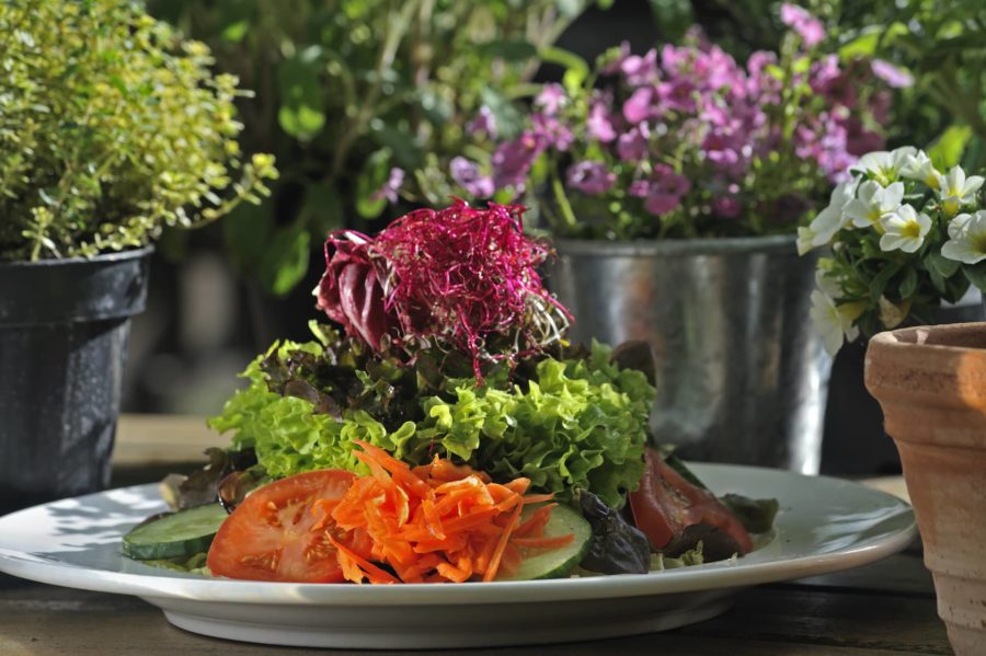 Arthrosekochbuch Genuss ohne Reue - Rezeptbeispiel