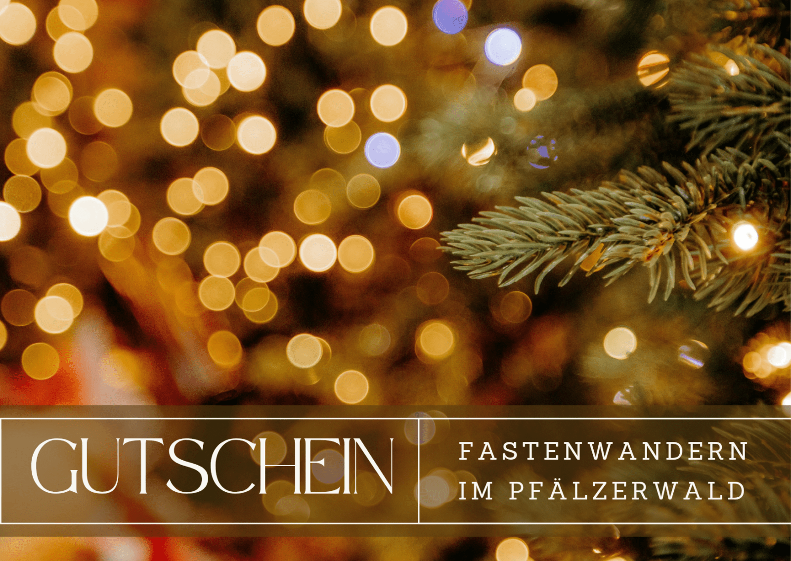 Gutschein zum Fastenwandern im Pfälzerwald