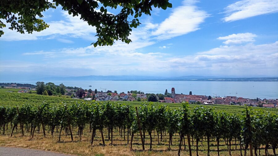 Ausblick auf das Fischerdorf Hagnau am Bodensee über die Weinberge