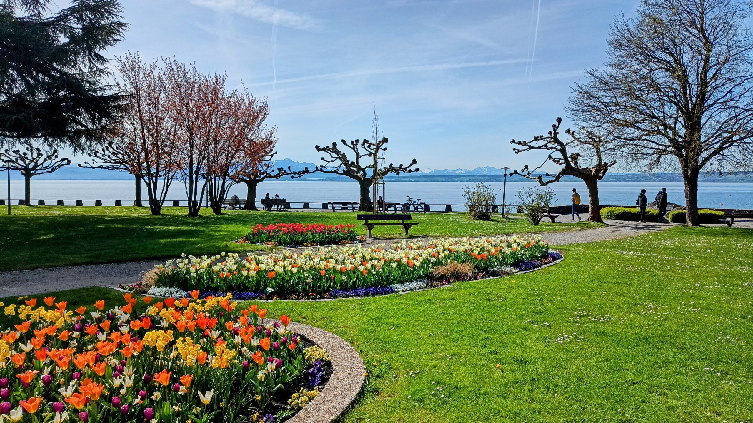 Blühende Blumen im Uferpark von Hagnau am Bodensee