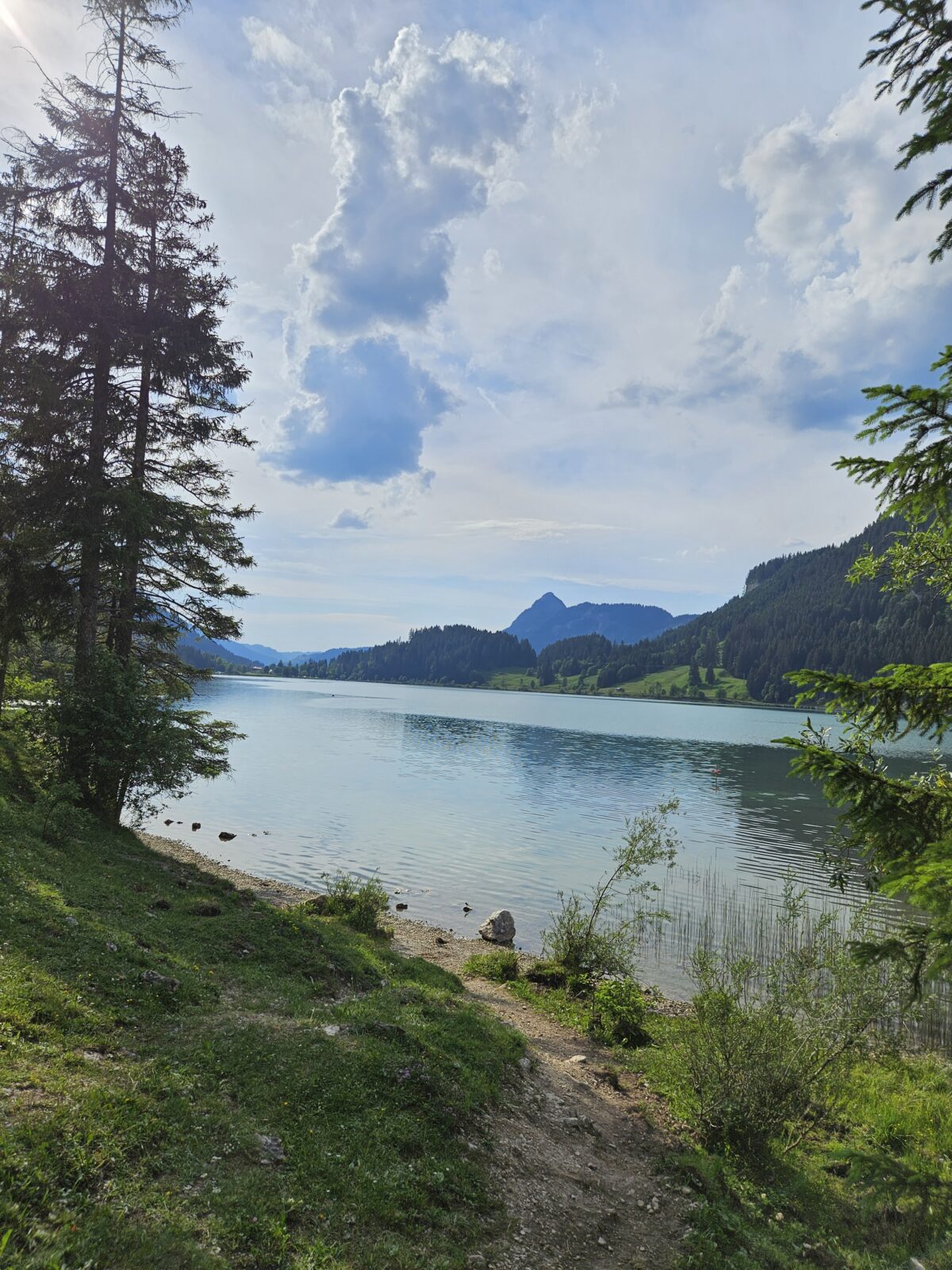 Uferpfad am Haldensee im Tannheimer Tal in Österreich