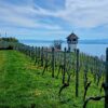 Turm in den Weinbergen auf dem Höhenweg bei Meersburg am Bodensee