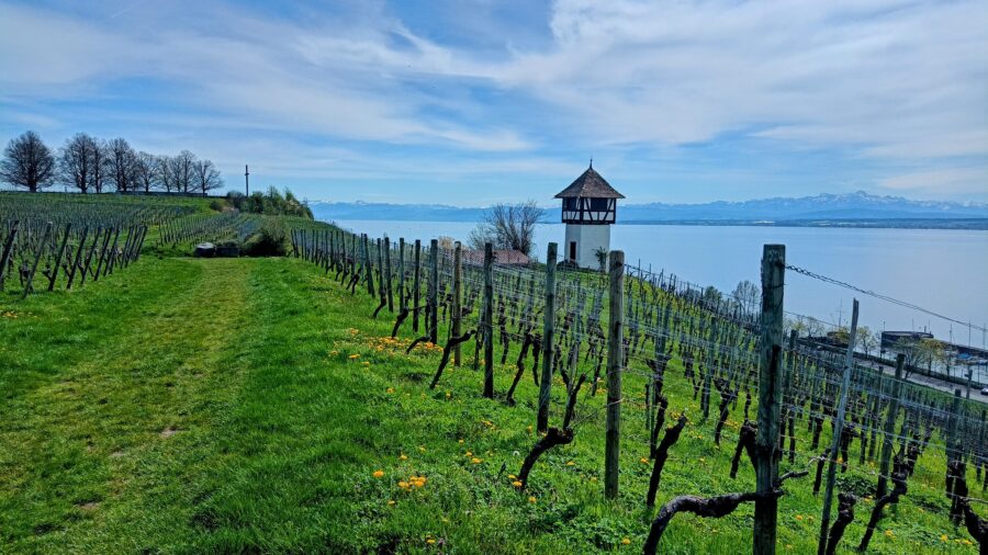 Turm in den Weinbergen auf dem Höhenweg bei Meersburg am Bodensee