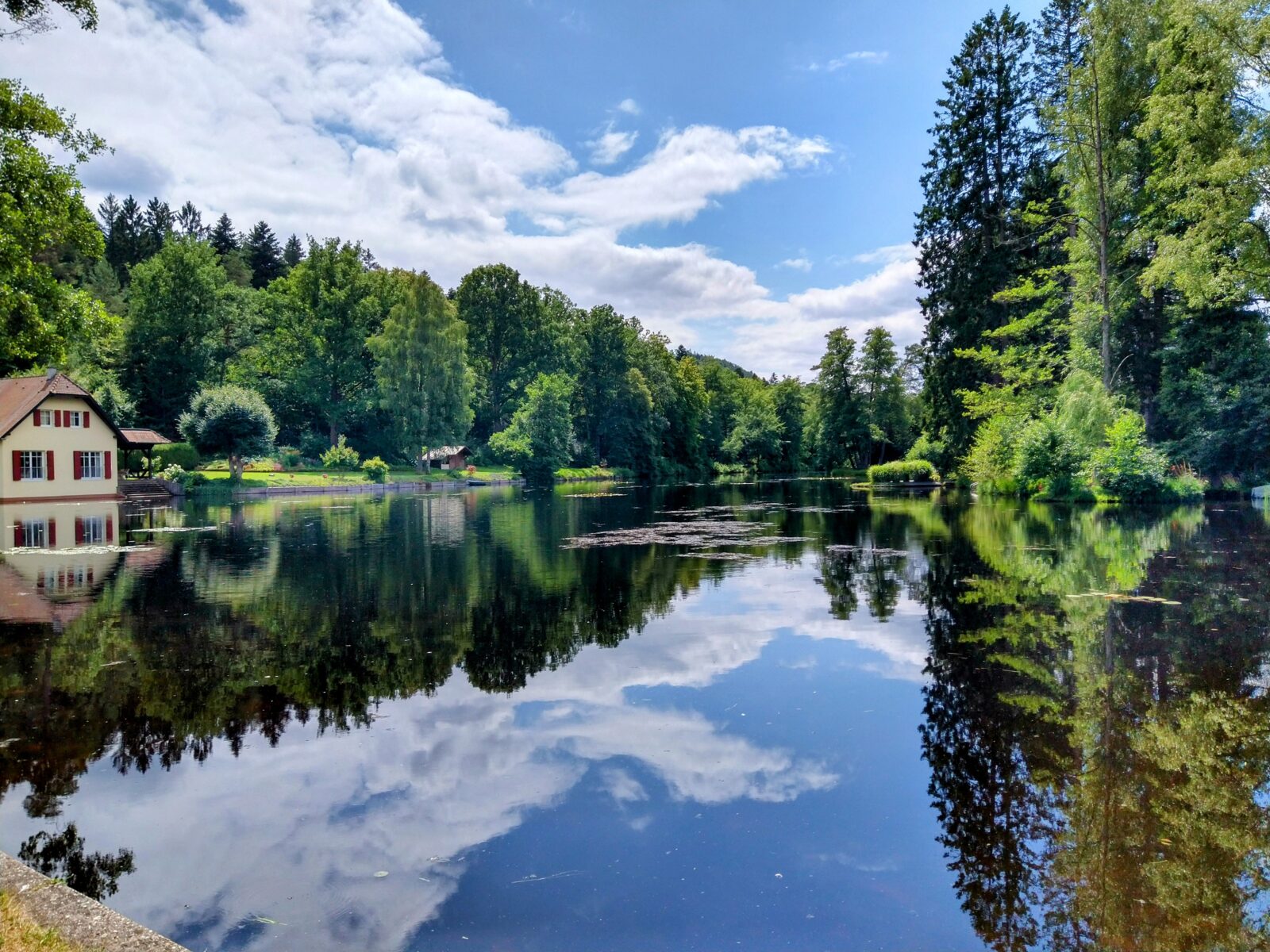See im Wald im Biosphärenreservat Pfälzerwald-Nordvogesen mit Reflexionen von Bäumen und Himmel auf der Wasseroberfläche