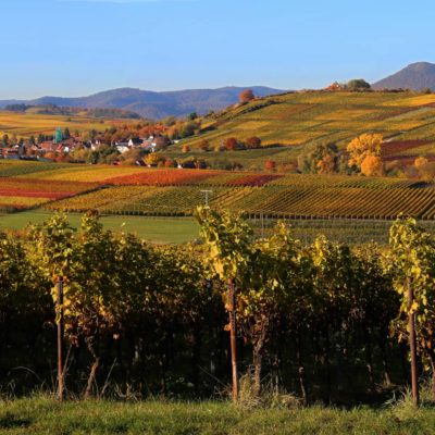 Fastenwandern, Buchingerfasten, Rohkost und Basenfasten - Kalmitblick