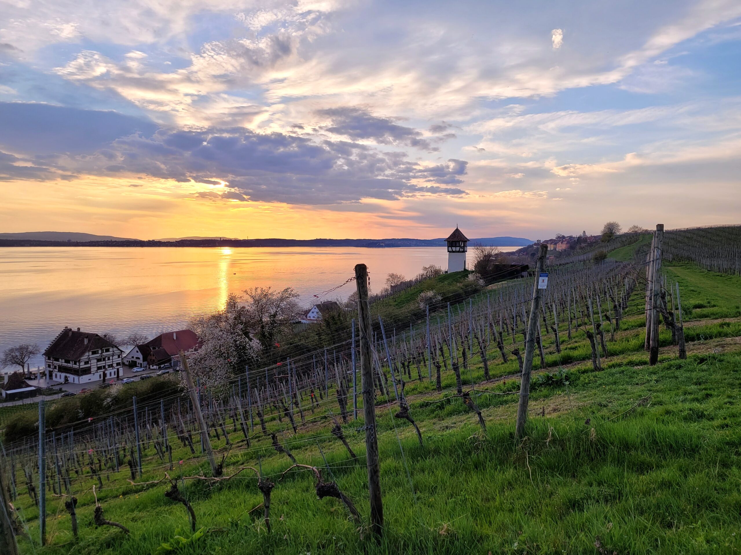 sonnenuntergang-hoehenweg-bodensee-panorama