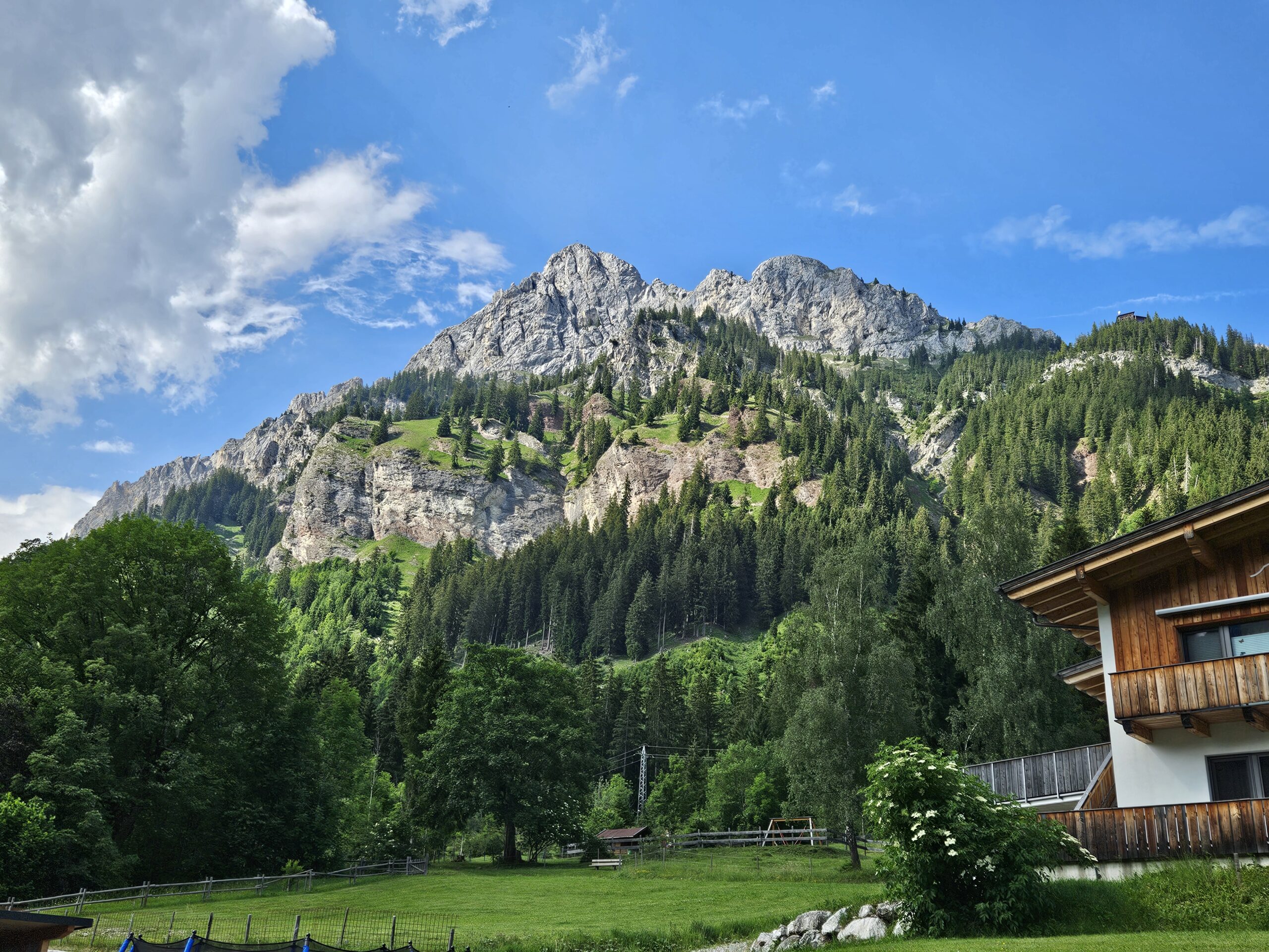 Kalksteinberg mit Bäumen und Wiesen im Tannheimer Tal in Österreich
