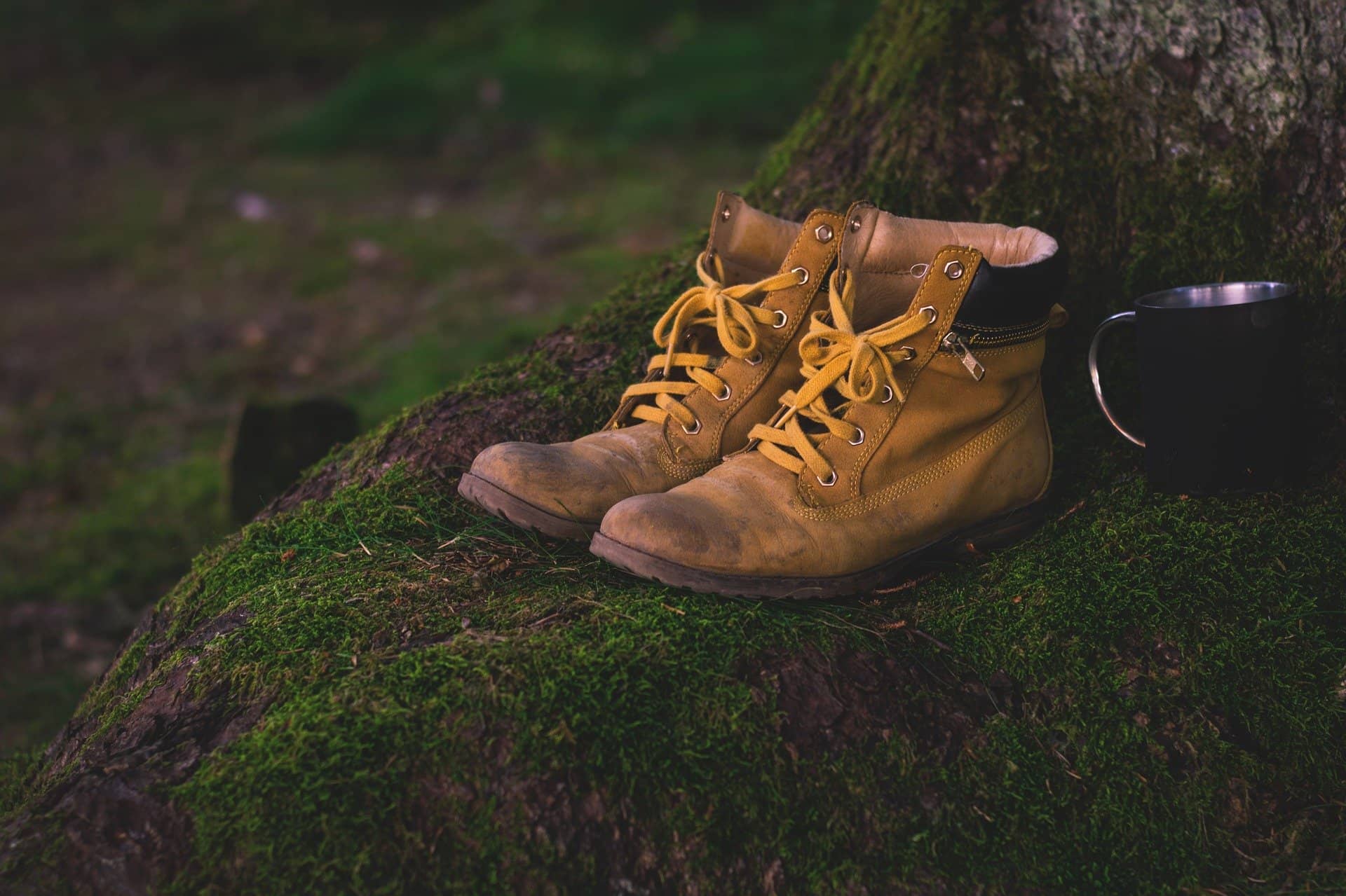 Wanderschuhe auf Moos im Wald