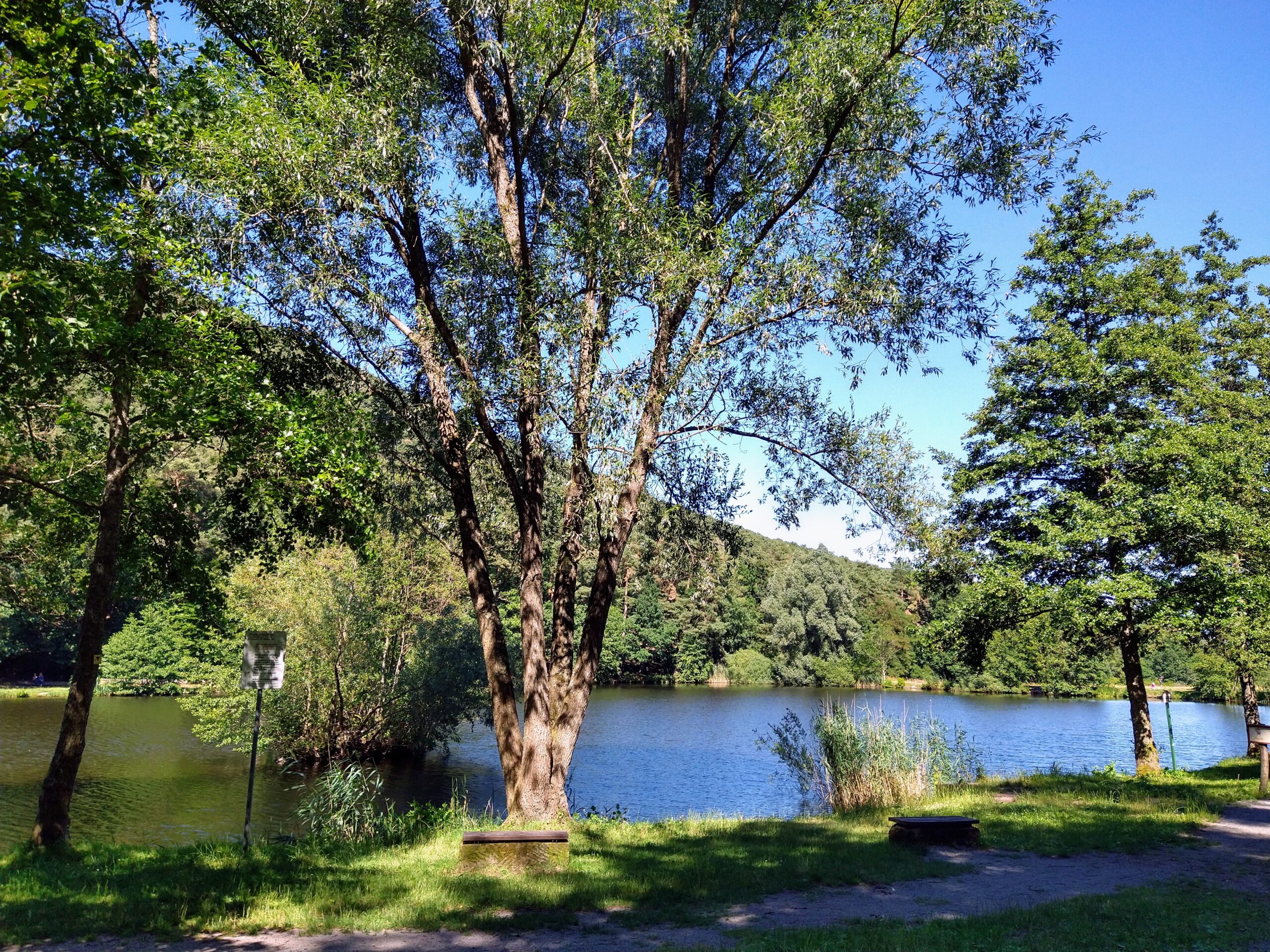 weiher-suedpfalz-wanderweg